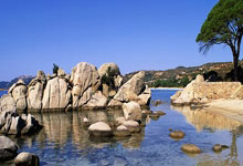 探索天涯第一神贴的魅力！哈哈，谁没听说过啊！这玩意儿在天涯论坛上简直就是神器，随便一篇帖子就能引爆整个社区。